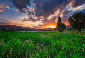 Saeed Younesi, ������, �������, ����, �����, �����, �������, �����, ������, ����