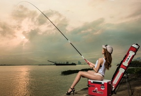 �������, �����, �������