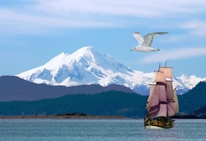 ����, �������, ����, �����