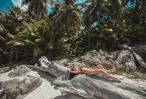 women, bikini, sunglasses, belly, armpits, palm trees, lying on back, women outdoors