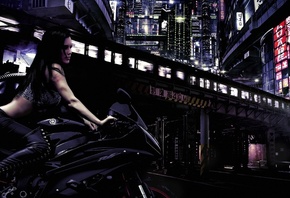 �����, ��������