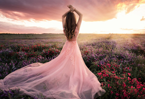 �������, ������, ���, ������, �������� ������� ������, ����, �����, �����, Sergey Shatskov