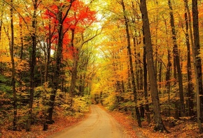 �������, �����, ������