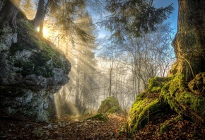 �������, �����, ���