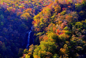 осень, водопад, красиво, природа