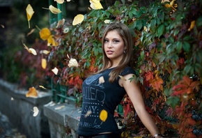 �������, ������, �����