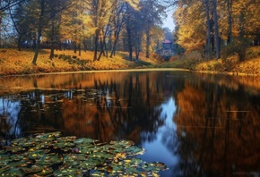 вода, отражение, осень, Дендропарк Александрия, Белая Церковь, Украина, Екатерина Ионенко