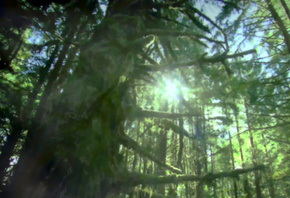 ���, �������, ������, ����������