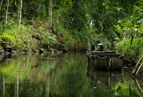 ���, �������, ������, ����, ���������, ����, �����.�����.�������, �����