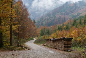 ������ ���������, ���, ����, ������, �����, Nexter