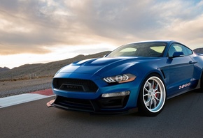 Ford, Shelby, ��������