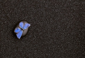 песок, камни, бабочка