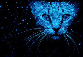 ���, ���, ����, ������ ���