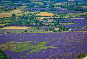 ����, �������, �������