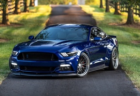 ford, ����, ������