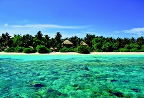 природа, тропики, остров, острова, Мальдивы, Maldives, океан, пальмы, курор ...