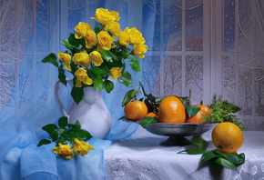 Валентина Колова, still life, натюрморт, ткань, кувшин, цветы, розы, окно, занавеска, фрукты, мандарины