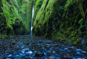�����, Oregon, ���, �����, �����, �������