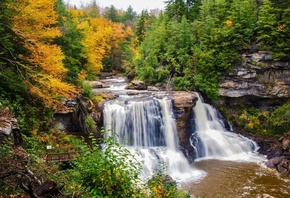 природа, осень, деревья, листья, лес, река, вода, водопад, камни