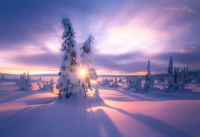 ����, ����, ���, ��������, Jorn Allan Pedersen, ����, ������