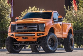 Ford, 2017, BDS, 