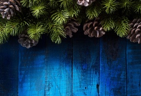 �����, �����, ����, �����