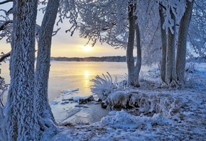 �������, ����, ����, ����, �������, ����, ����, �������