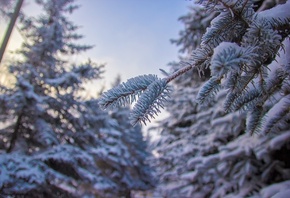 �������, ����, �����, ���, ����, ����