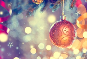 ��������, ����� ���, ���������, �����, ���, ����, �������, �����, ���������, ����