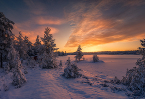 , , , , Ole Henrik Skjelstad, , ,  ...