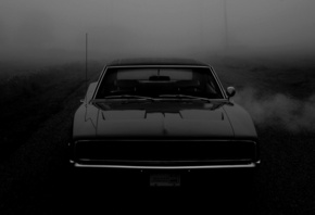 ����, 1968, charger, �����, ��������