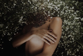 �����, �������, ����