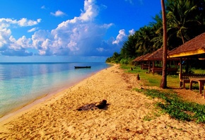 пляж, курорт, океан, природа, экзотика, пальмы