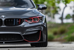 ���, F83, ��������