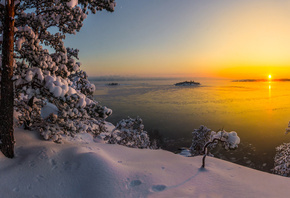 Vaschenkov Pavel, ������, �������, �����, ����, �������, �����, ����