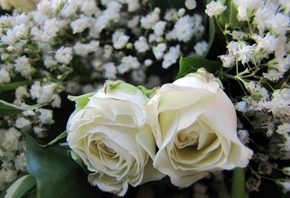 ����, �����, �����, ����