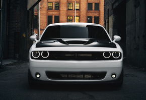 Dodge, Challenger, ,  