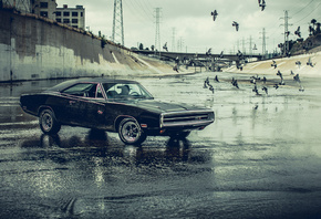 Dodge, Charger, 