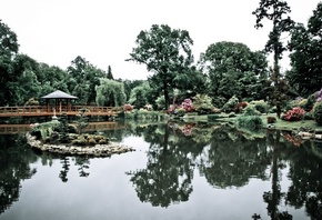 ботанический, архитектура, отражение, японский сад, прекрасный, озеро, вроцлав