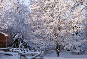 �������, ����, ����, �������, ���, ����������, �����