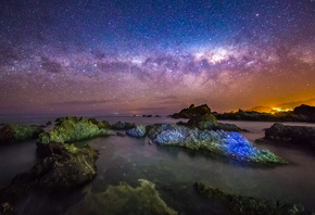Залив, Хоутон, Веллингтон, Новая Зеландия, ночь, прилив, фотограф MichaelJordanoff