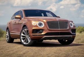 forza, ������