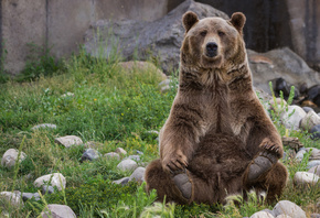 �������, ��������, �������, ������, �����, �����