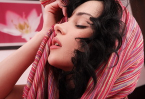 katie fey, ��������, ����, ����