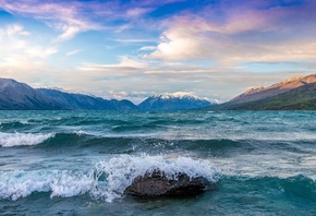 , ,  , lake, tekapo, new zealand, 