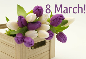 тюльпаны, предметы, 8 марта