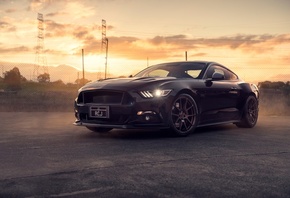 ����, Mustang