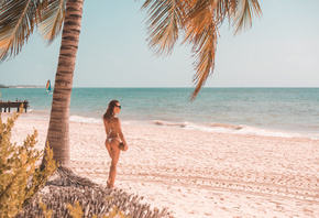 women, white bikini, tanned, ass, sea, sand, sunglasses, back, beach, looking away, palm trees