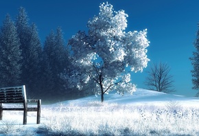 snow, art, winter, bench, shop, trees