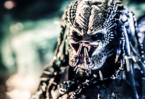 Predator, , , 